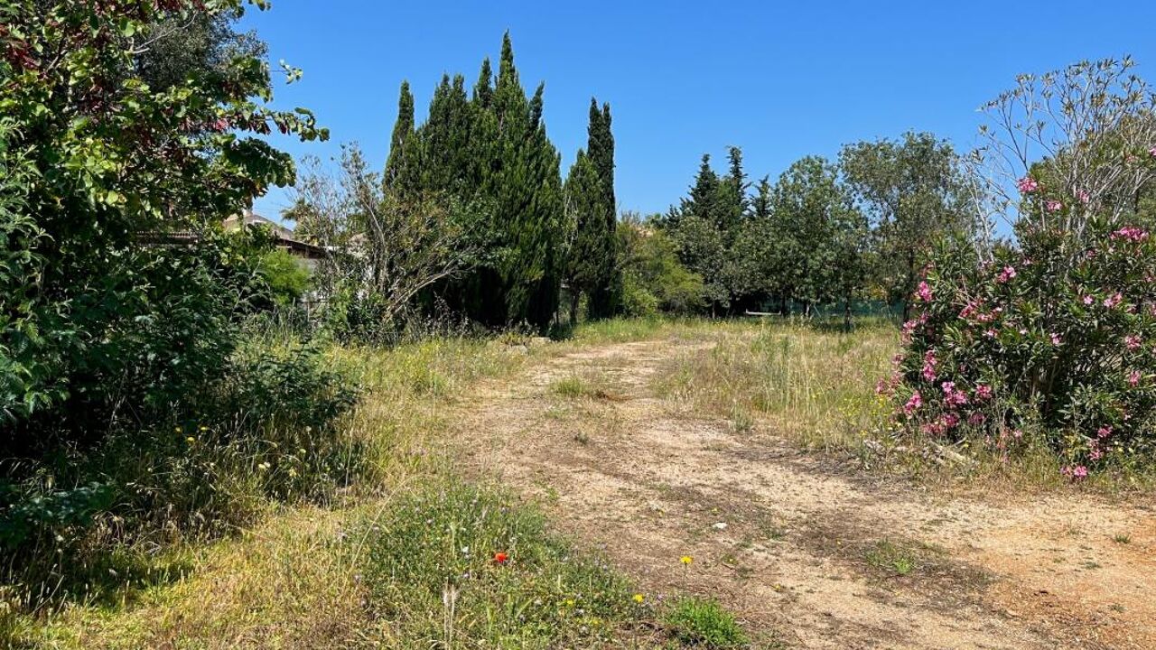 terrain  pièces 493 m2 à vendre à Marseillan (34340)