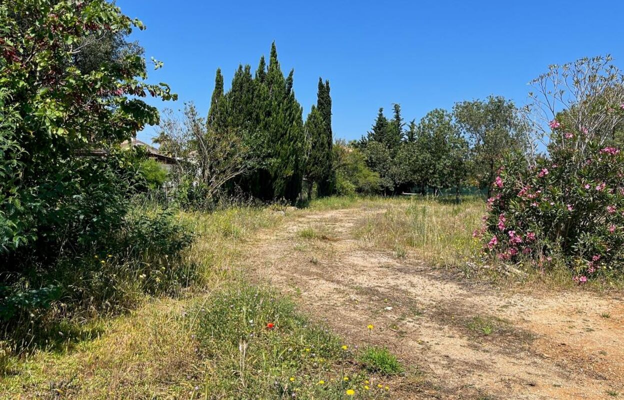 terrain  pièces 493 m2 à vendre à Marseillan (34340)