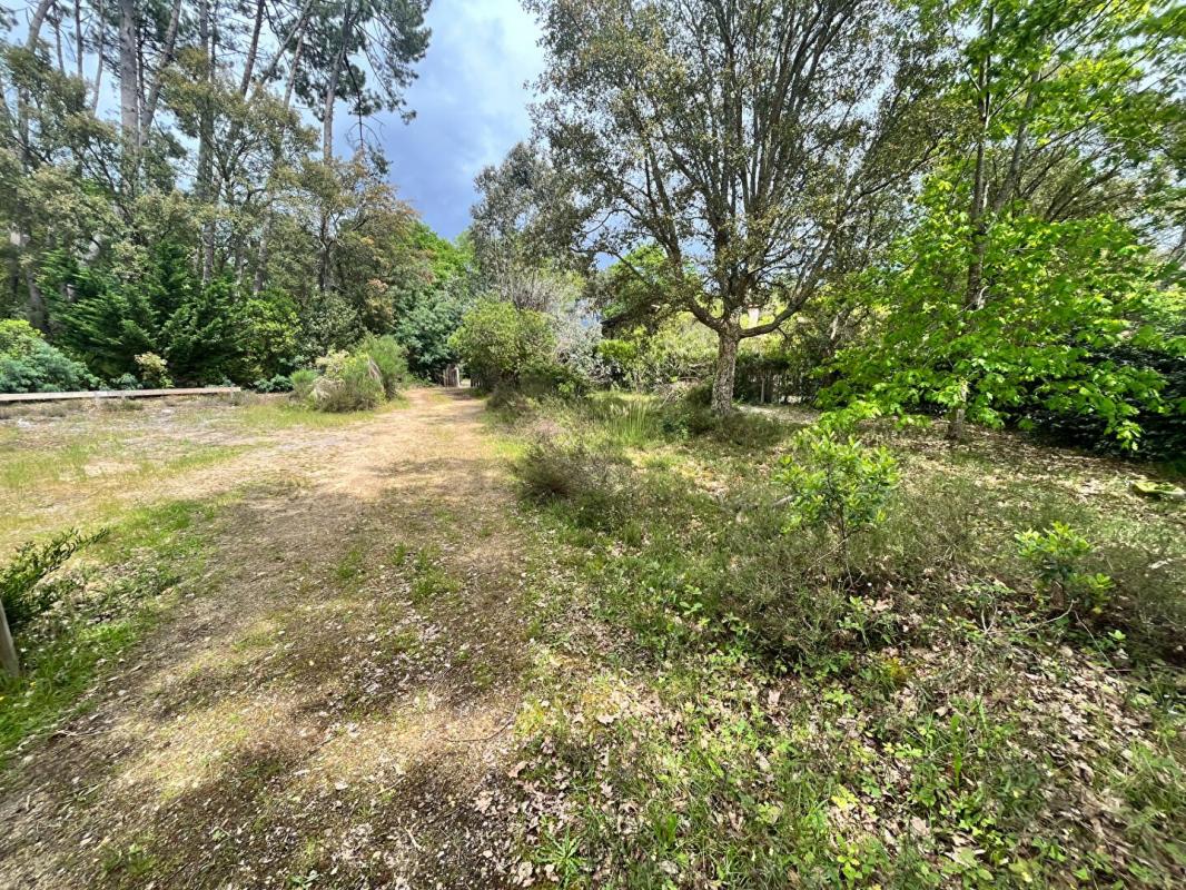 Terrain  à vendre Moliets-et-Maa 40660