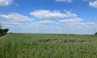 Terrain  5760 m² à vendre à Savigny-en-Sancerre (18240)