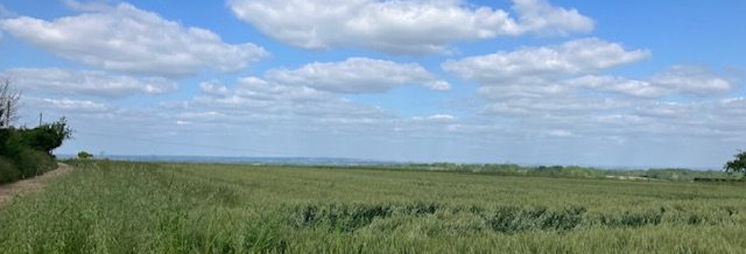 Terrain  5760 m² à vendre à Savigny-en-Sancerre (18240)