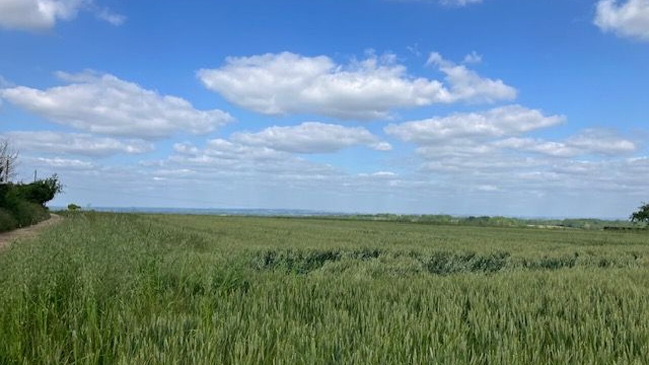 terrain  pièces 5760 m2 à vendre à Savigny-en-Sancerre (18240)