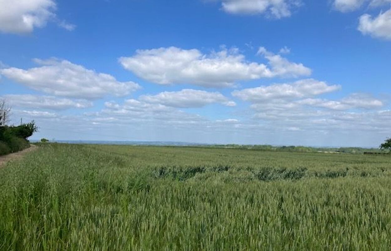 terrain  pièces 5760 m2 à vendre à Savigny-en-Sancerre (18240)