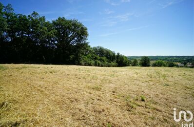 terrain  pièces 6600 m2 à vendre à Saint-Paul-sur-Save (31530)