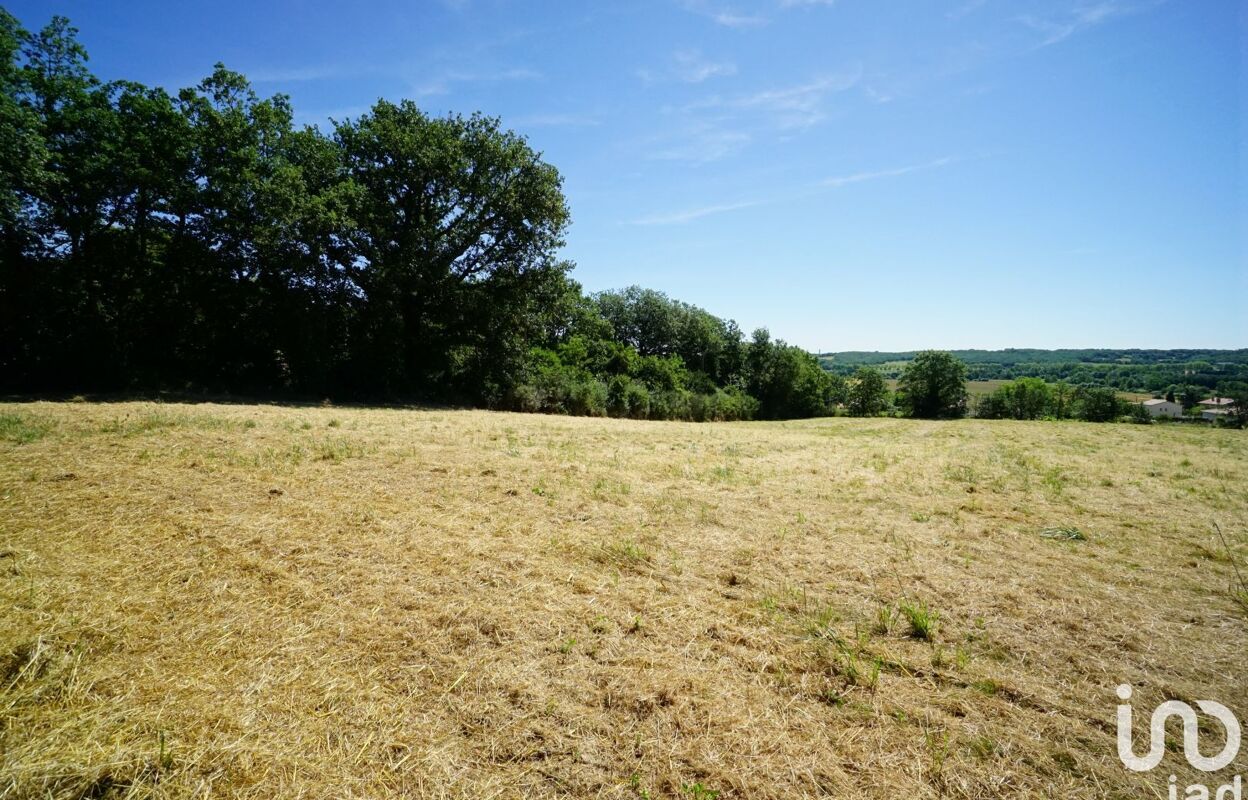 terrain  pièces 6600 m2 à vendre à Saint-Paul-sur-Save (31530)