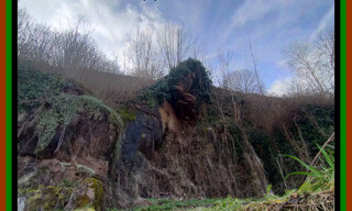 Photo N° 3