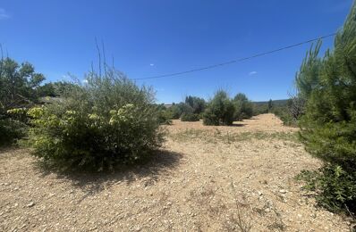 terrain  pièces 1000 m2 à vendre à Cabrières-d'Avignon (84220)