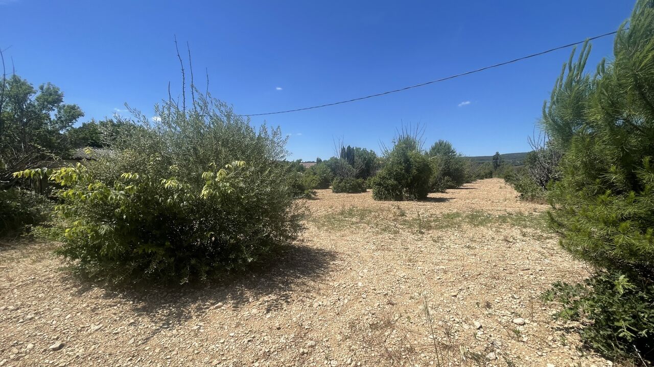 terrain  pièces 1000 m2 à vendre à Cabrières-d'Avignon (84220)