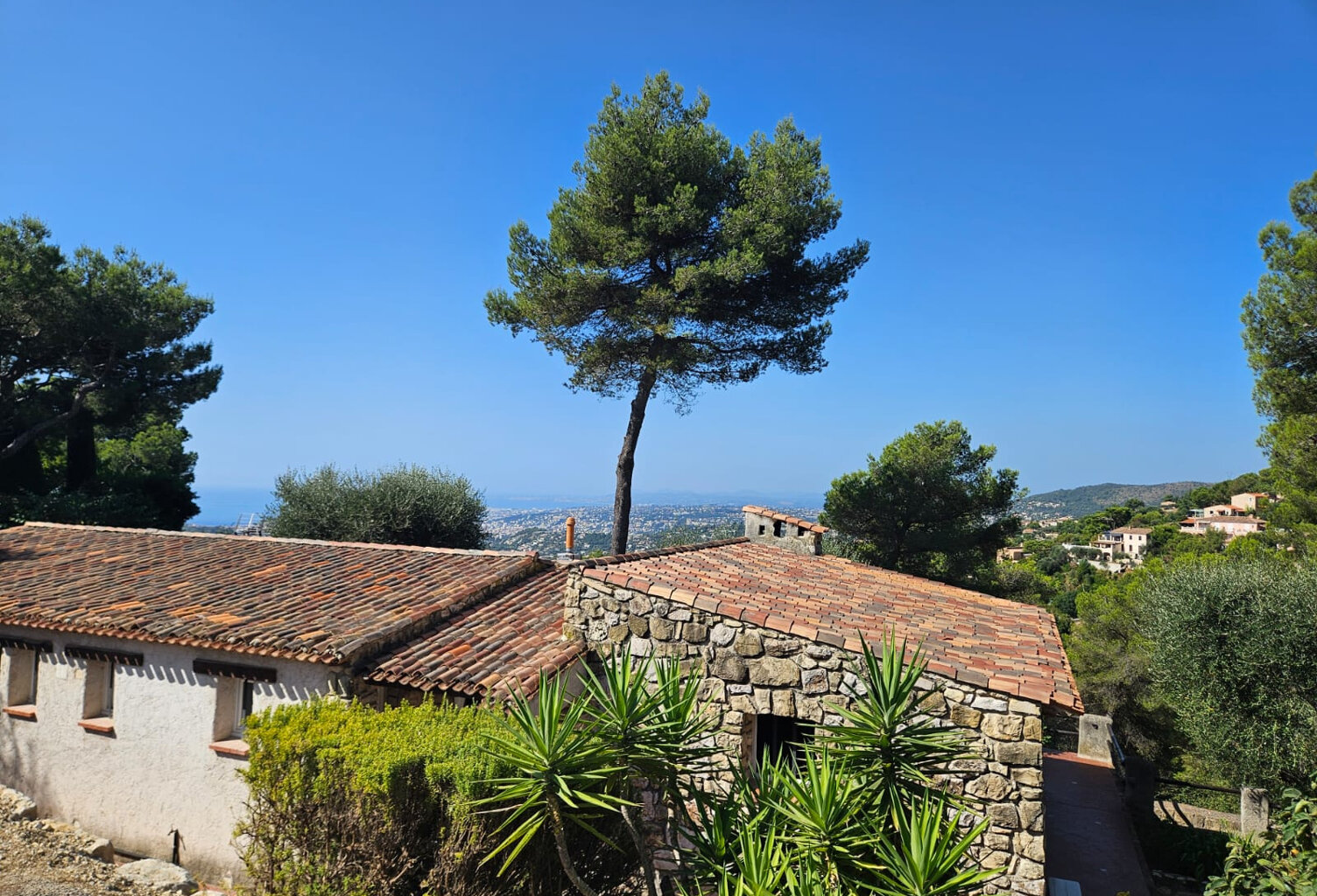 VIAGER OCCUPE . Magnifique villa provençale CANTARON COLLINE — photo 1