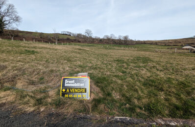 terrain  pièces 1154 m2 à vendre à Prades-d'Aubrac (12470)