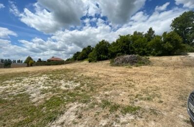 vente terrain 54 000 € à proximité de Cloyes-sur-Marne (51300)