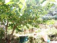 VENDU une maison  de plain pied avec jardin — photo 2