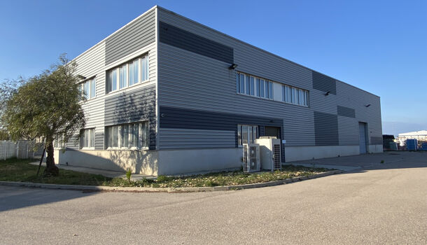 Bureau  à louer Perpignan 66000