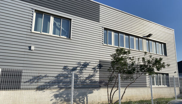 Bureau  à louer Perpignan 66000