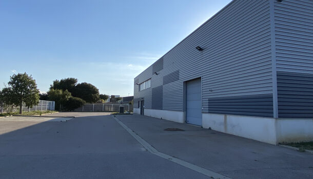 Bureau  à louer Perpignan 66000