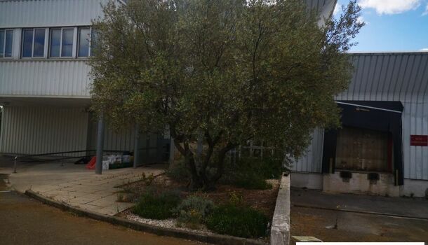 Local commercial  à louer Crès (Le) 34920