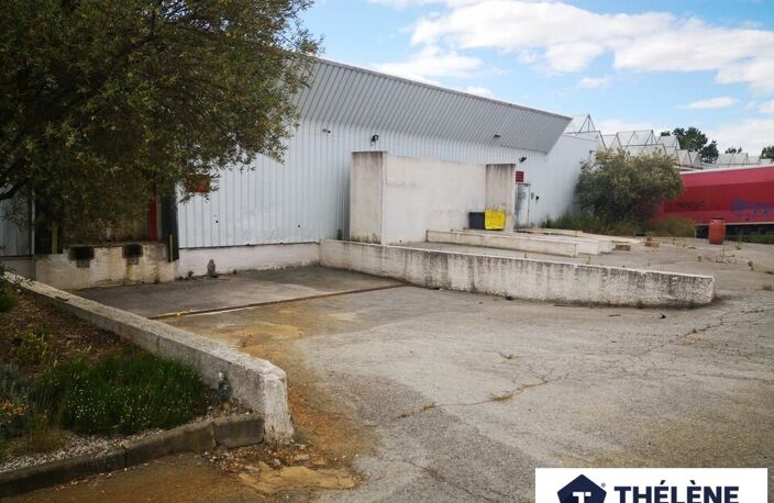 LOCAL D'ACTIVITE à LOUER — photo 5