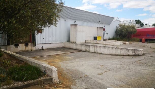 Local commercial  à louer Crès (Le) 34920