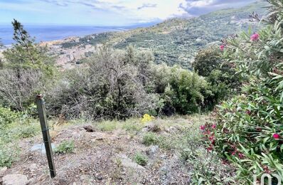 vente terrain 130 000 € à proximité de Poggio-d'Oletta (20232)