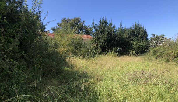 Terrain  à vendre Bidart 64210