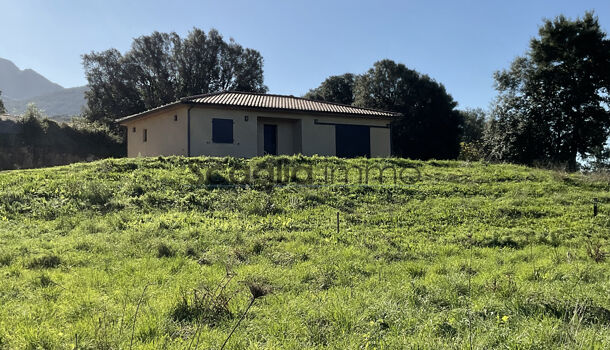 Villa / Maison 3 pièces  à vendre Petreto-Bicchisano 20140