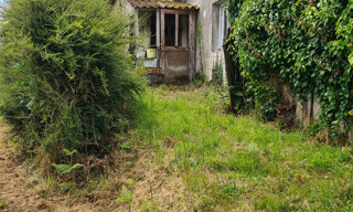 Photo N° 4