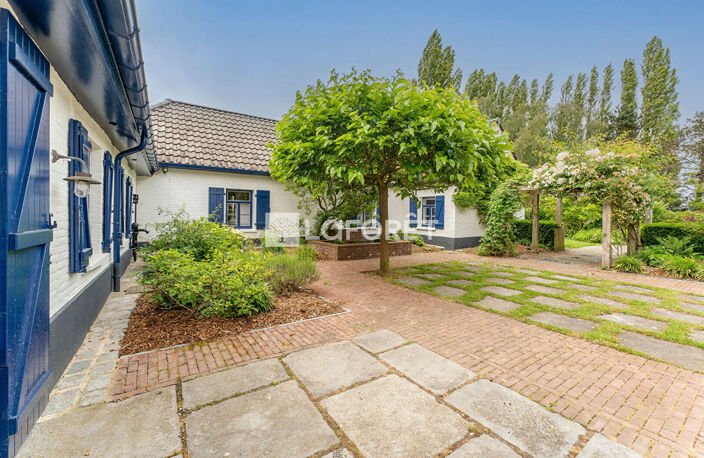 Charmante ferme de 262m2 - 7 chambres - Parcelle de 4220m2 - MONS EN PÉVÈLE — photo 3