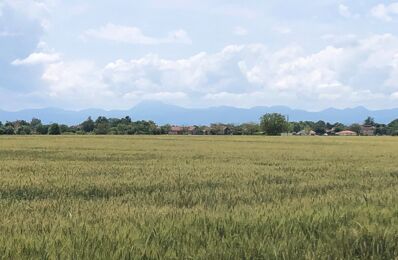 terrain  pièces 1885 m2 à vendre à Maringues (63350)