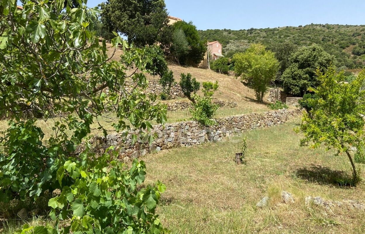 terrain  pièces 1060 m2 à vendre à Alata (20167)