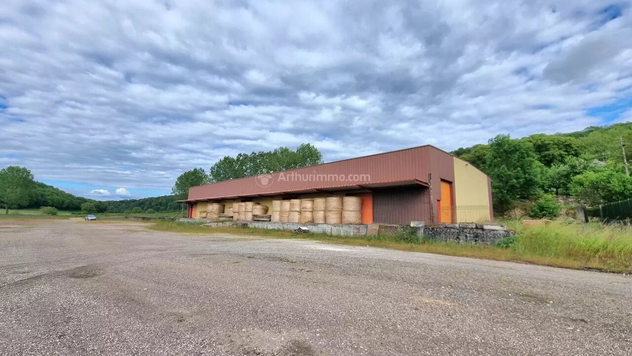 commerce  pièces 1000 m2 à vendre à Harréville-les-Chanteurs (52150)