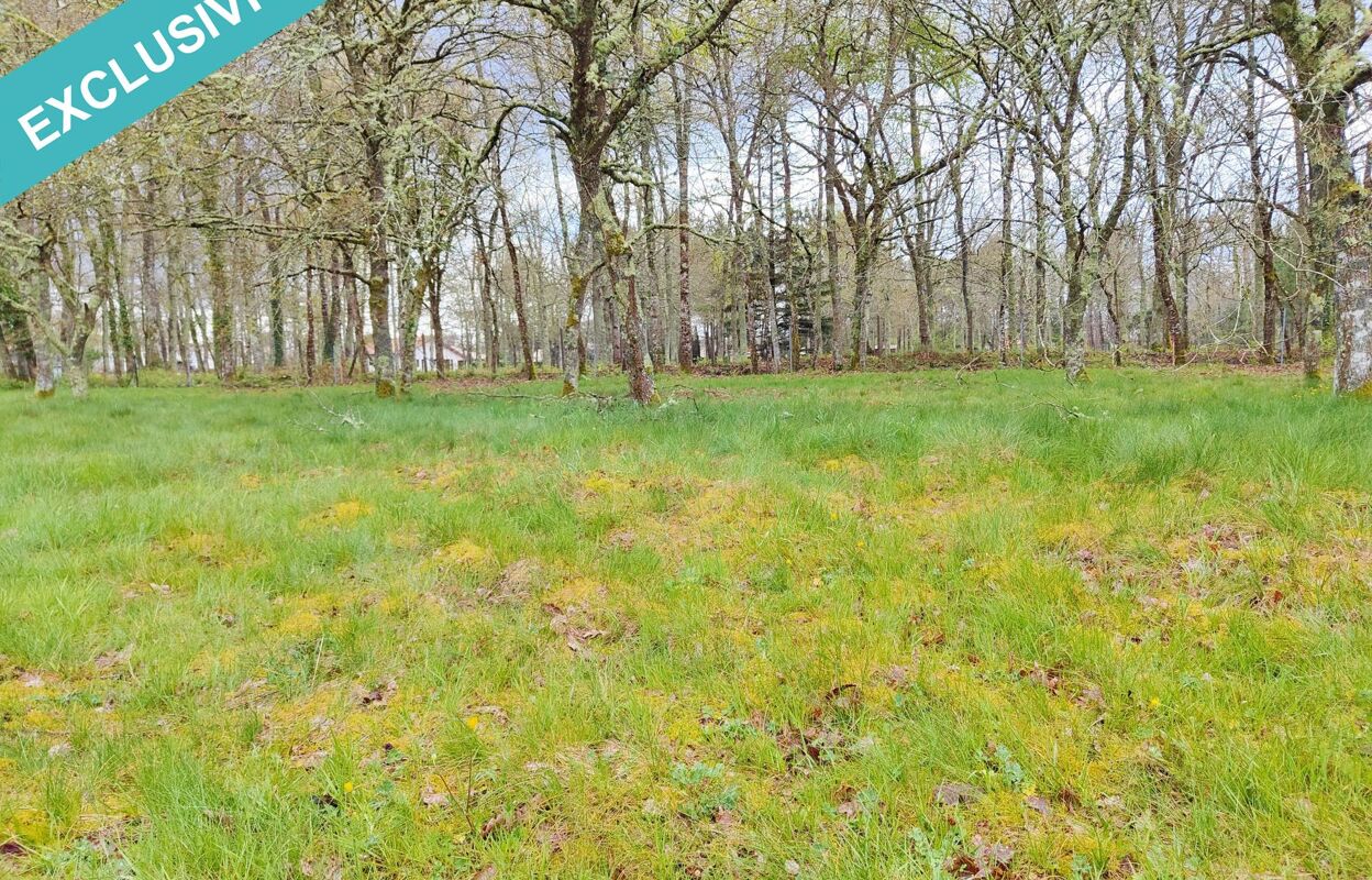 terrain  pièces 450 m2 à vendre à Saint-Jean-d'Illac (33127)