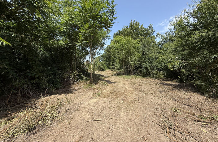 TERRAIN D'EXCEPTION À NEAUPHLE-LE-CHÂTEAU (78640) — photo 4