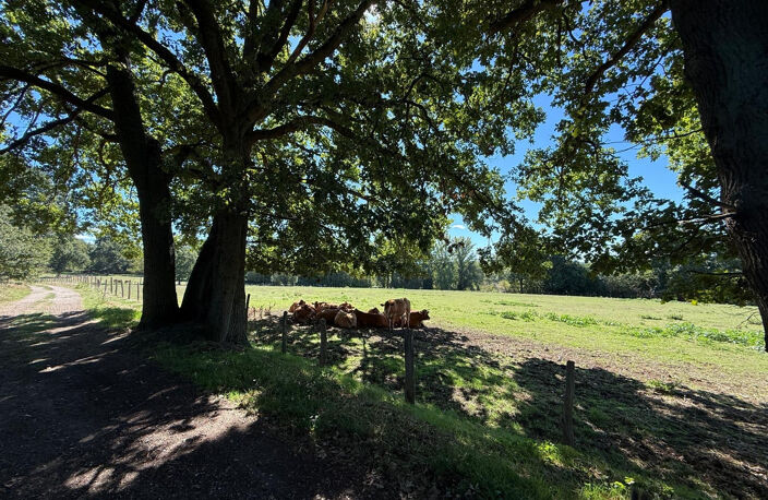 TERRAIN D'EXCEPTION À NEAUPHLE-LE-CHÂTEAU (78640) — photo 5