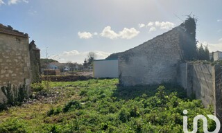 Photo N° 6