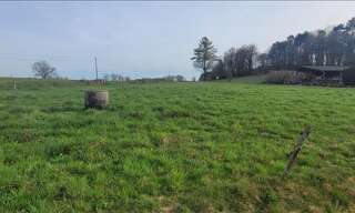 Terrain  3000 m² à vendre à Bassignac-le-Bas (19430)