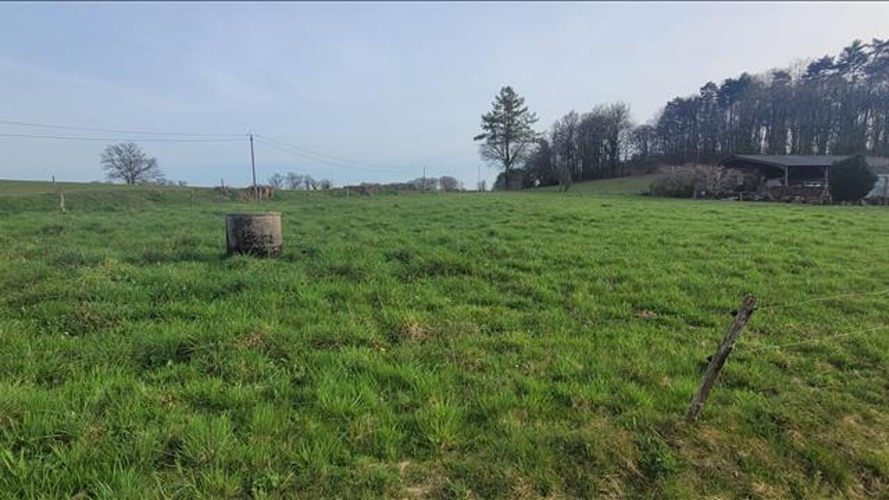 terrain  pièces 3000 m2 à vendre à Bassignac-le-Bas (19430)