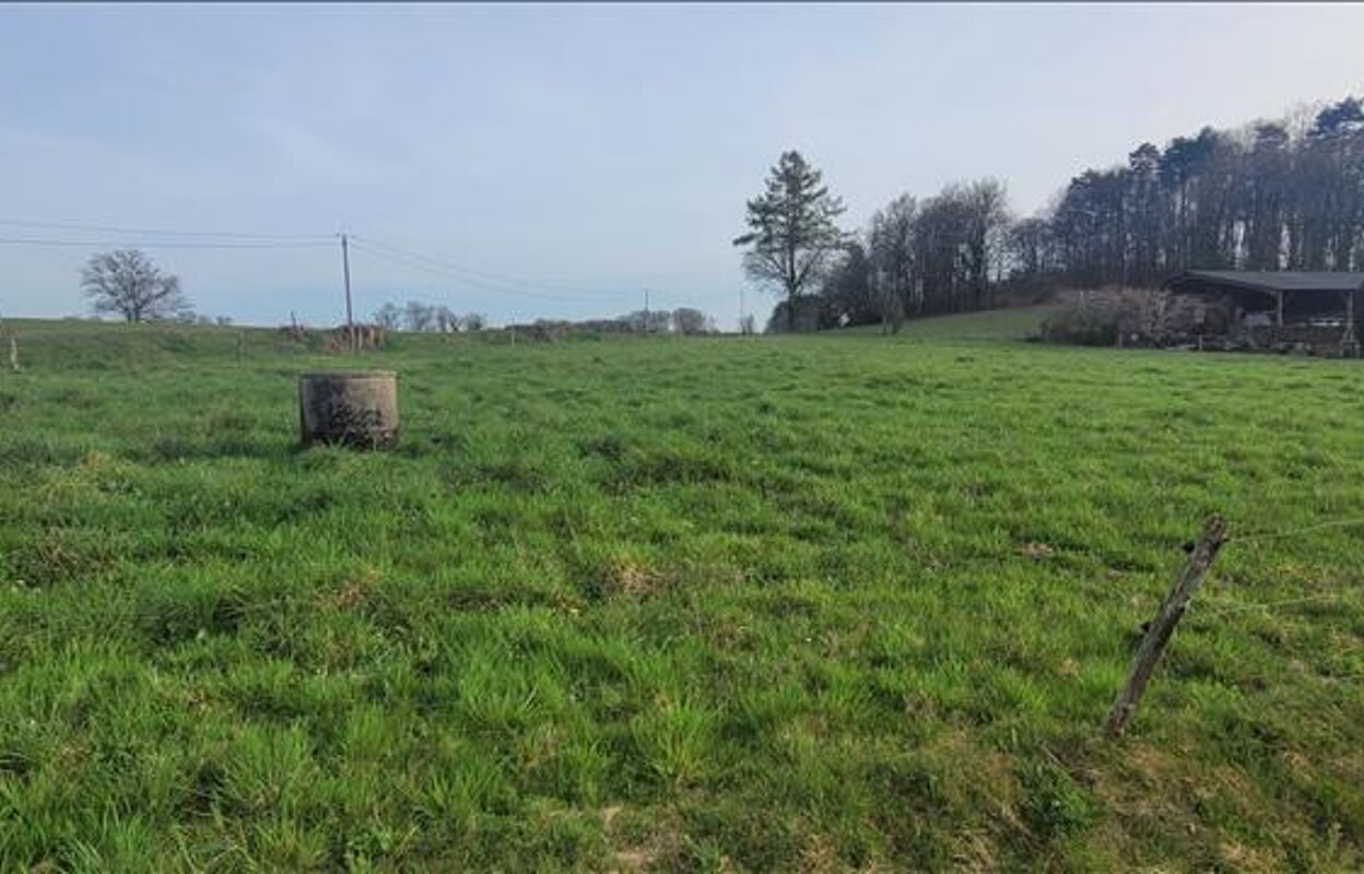 terrain  pièces 3000 m2 à vendre à Bassignac-le-Bas (19430)