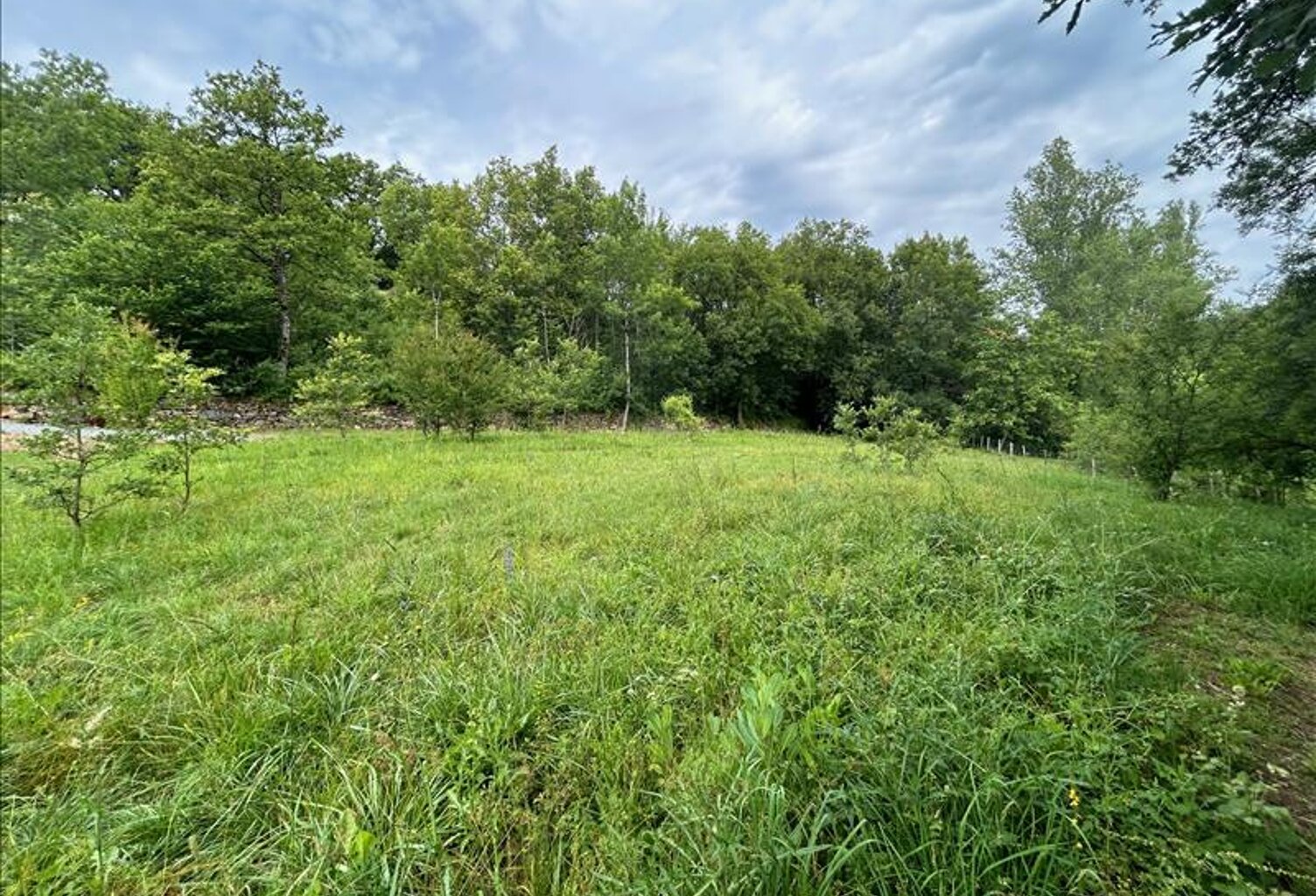 Terrain à bâtir de 0 pièces principales — photo 1