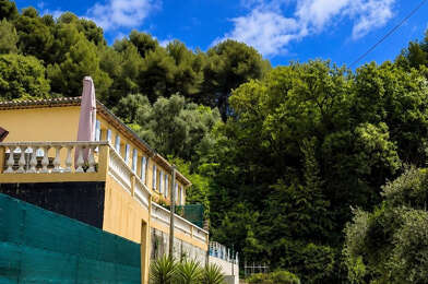 Terrain  60000 €