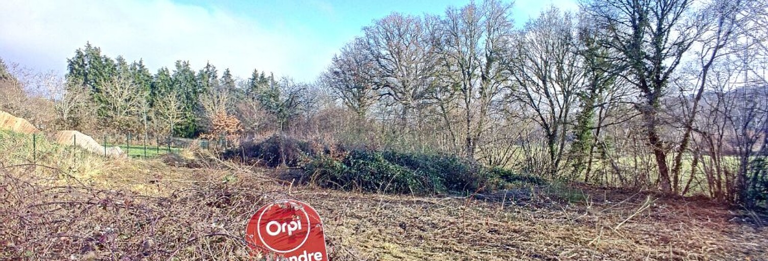 Terrain  1320 m² à vendre à Saint-Angel (63410)