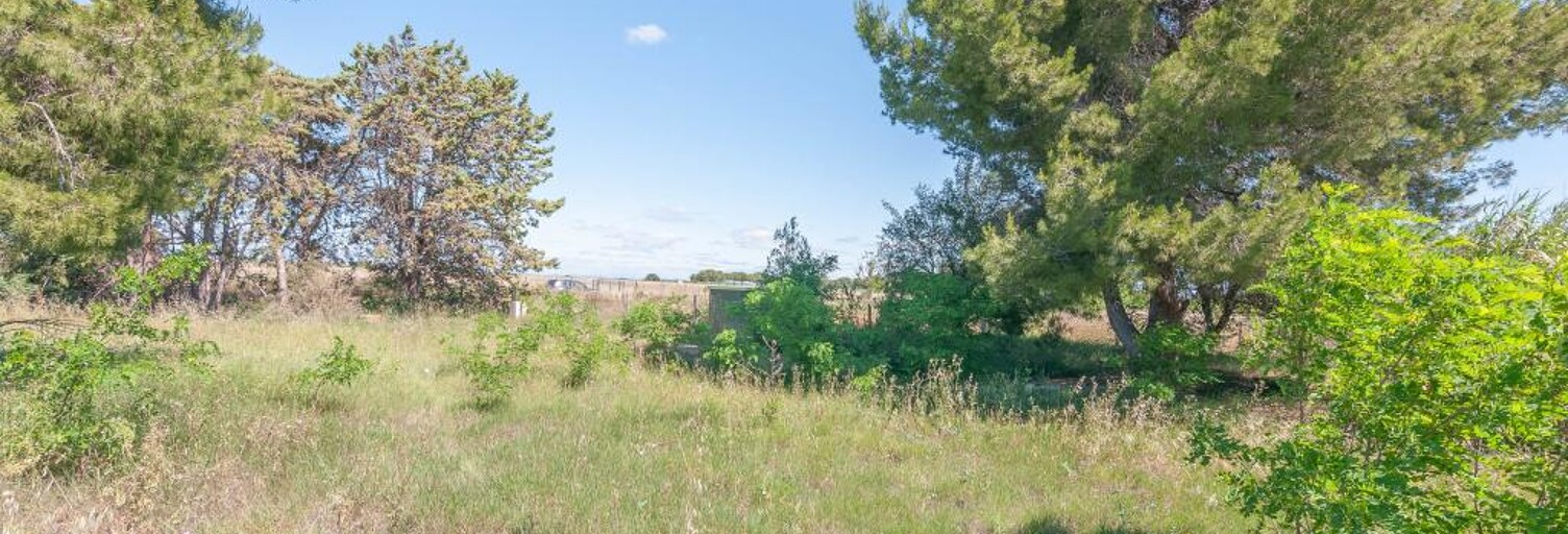 Maison  569 m² à vendre à Marseillan (34340)