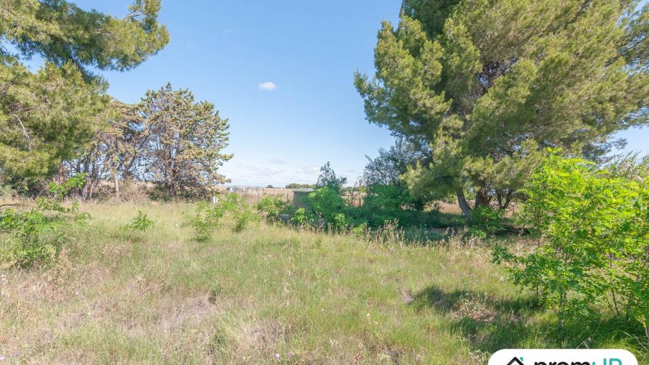 maison  pièces 569 m2 à vendre à Marseillan (34340)