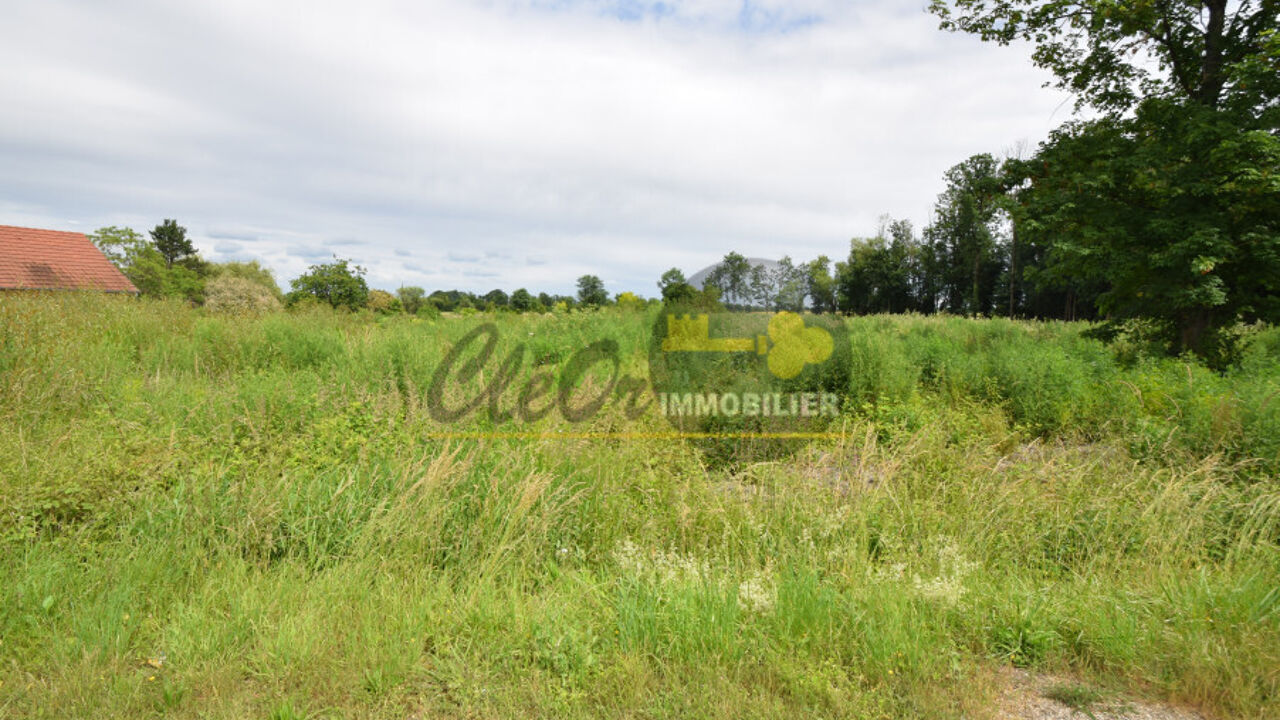 terrain  pièces 2430 m2 à vendre à Brazey-en-Plaine (21470)