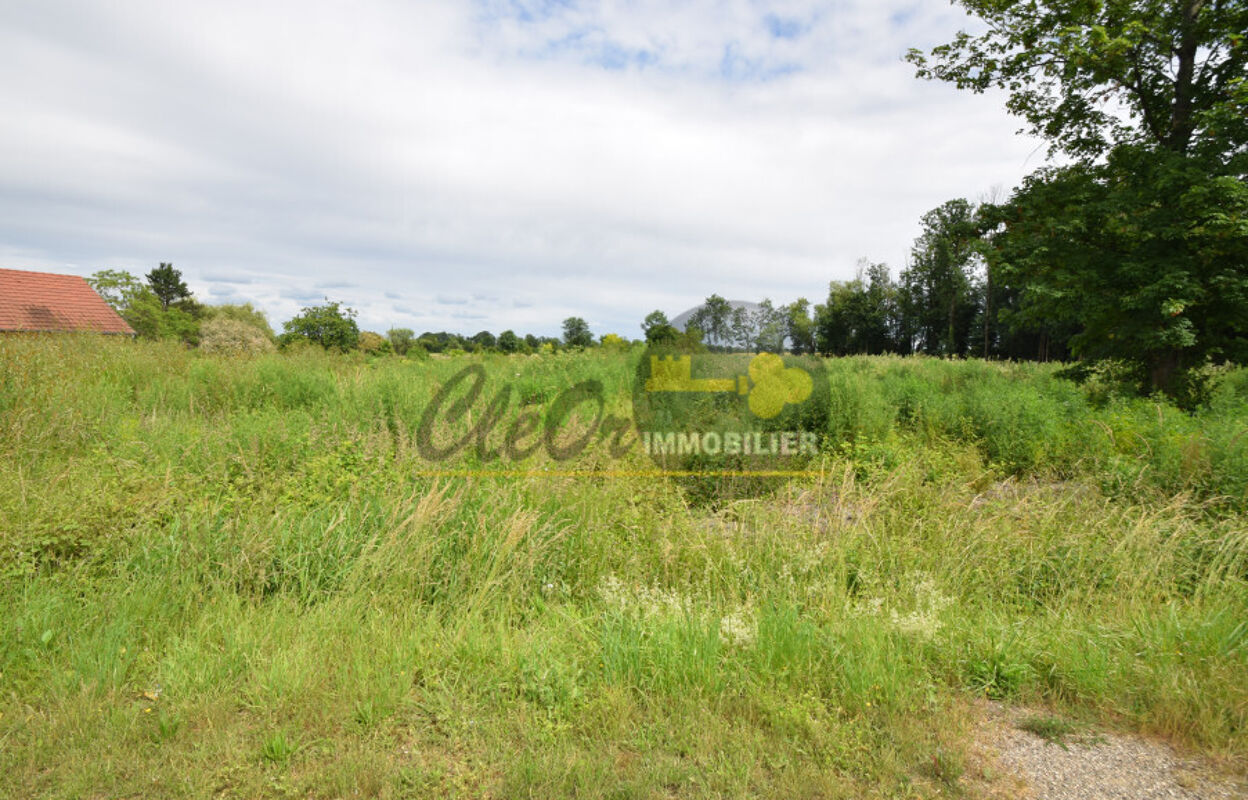 terrain  pièces 2430 m2 à vendre à Brazey-en-Plaine (21470)