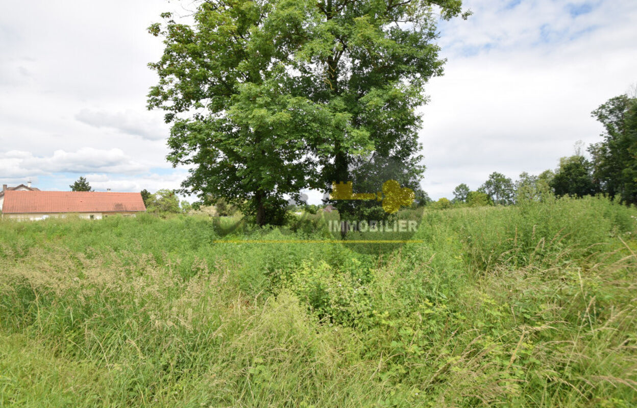 terrain  pièces 2630 m2 à vendre à Brazey-en-Plaine (21470)