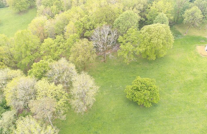 Propriété — photo 3
