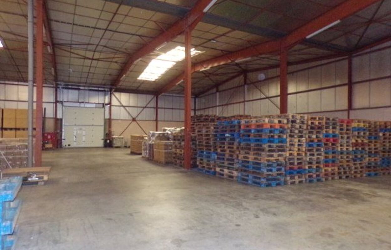 commerce  pièces 1565 m2 à vendre à Perpignan (66000)