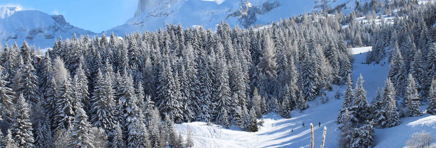 Commerce  700 m² à vendre à Le Dévoluy (05250)