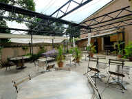 Pibrac - sur terrain 1115 m² - Immeuble/maison de rapport de 206 m² — photo 3