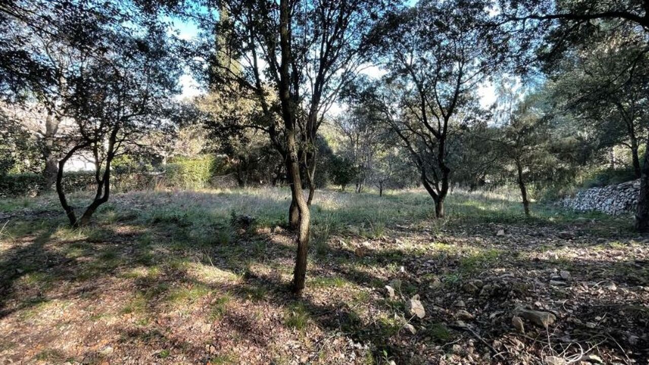 terrain  pièces 3209 m2 à vendre à Murviel-Lès-Montpellier (34570)